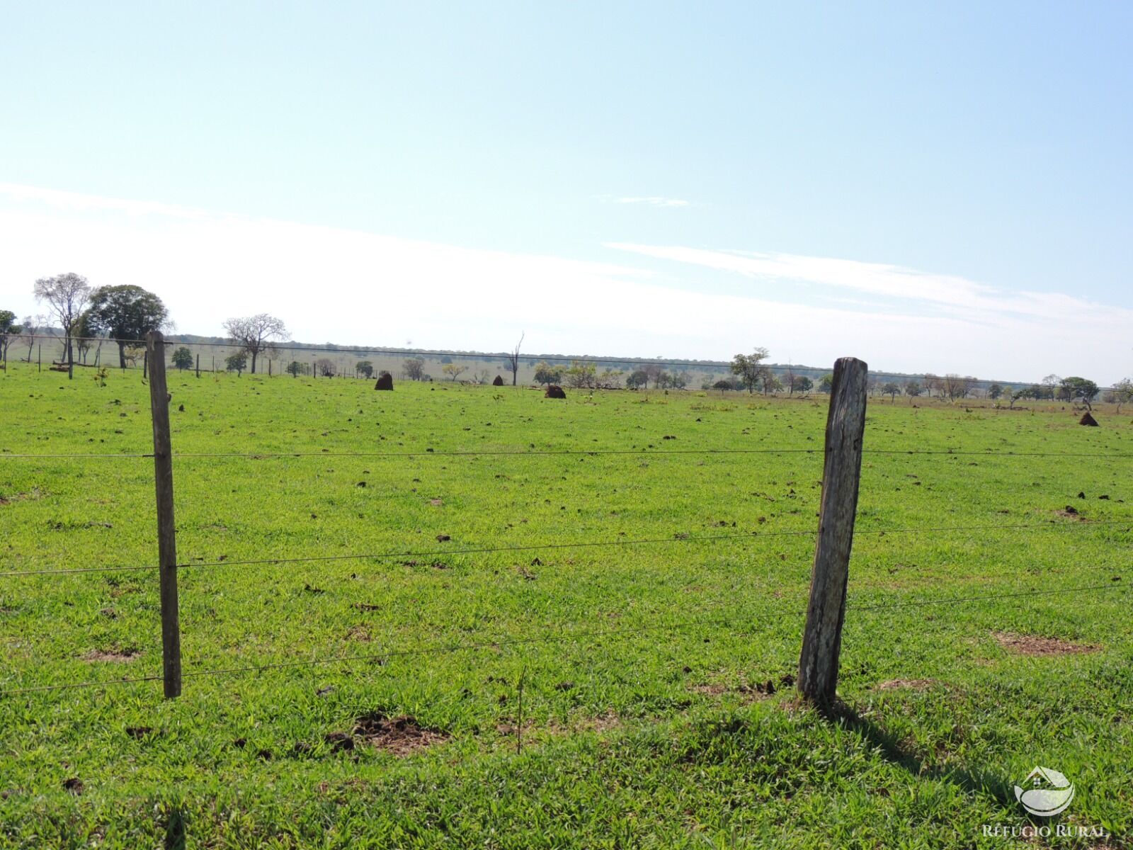 Fazenda à venda com 1 quarto, 24200000m² - Foto 20