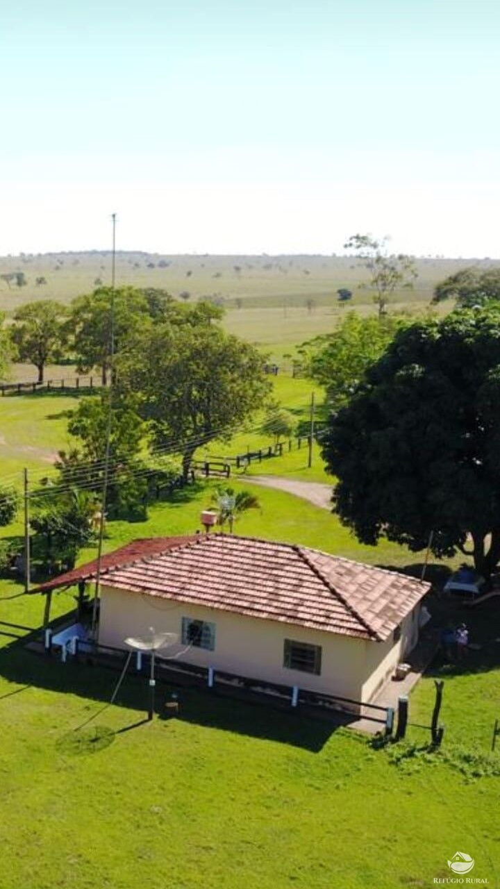 Fazenda à venda com 1 quarto, 24200000m² - Foto 1