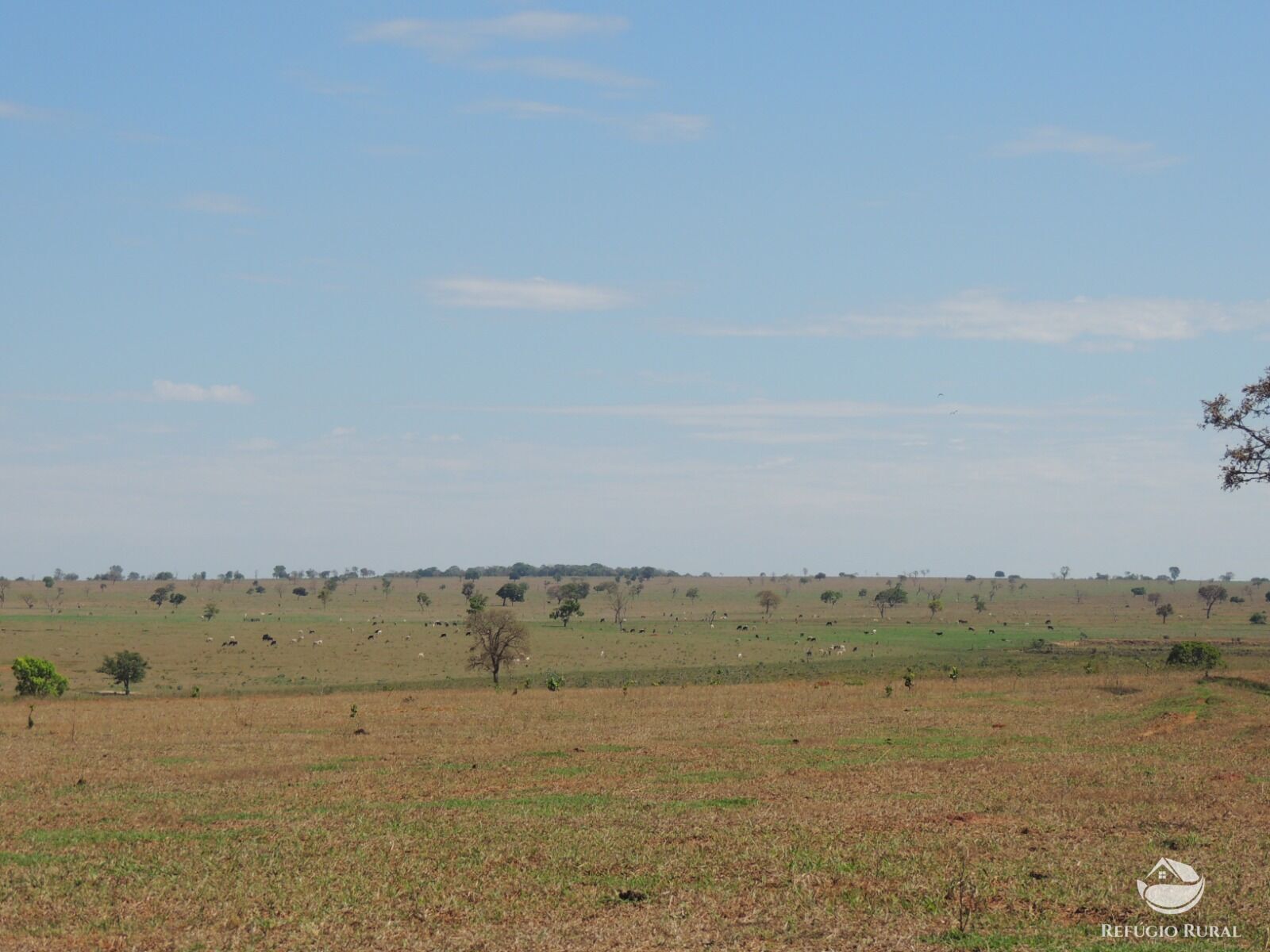 Fazenda à venda com 1 quarto, 24200000m² - Foto 17