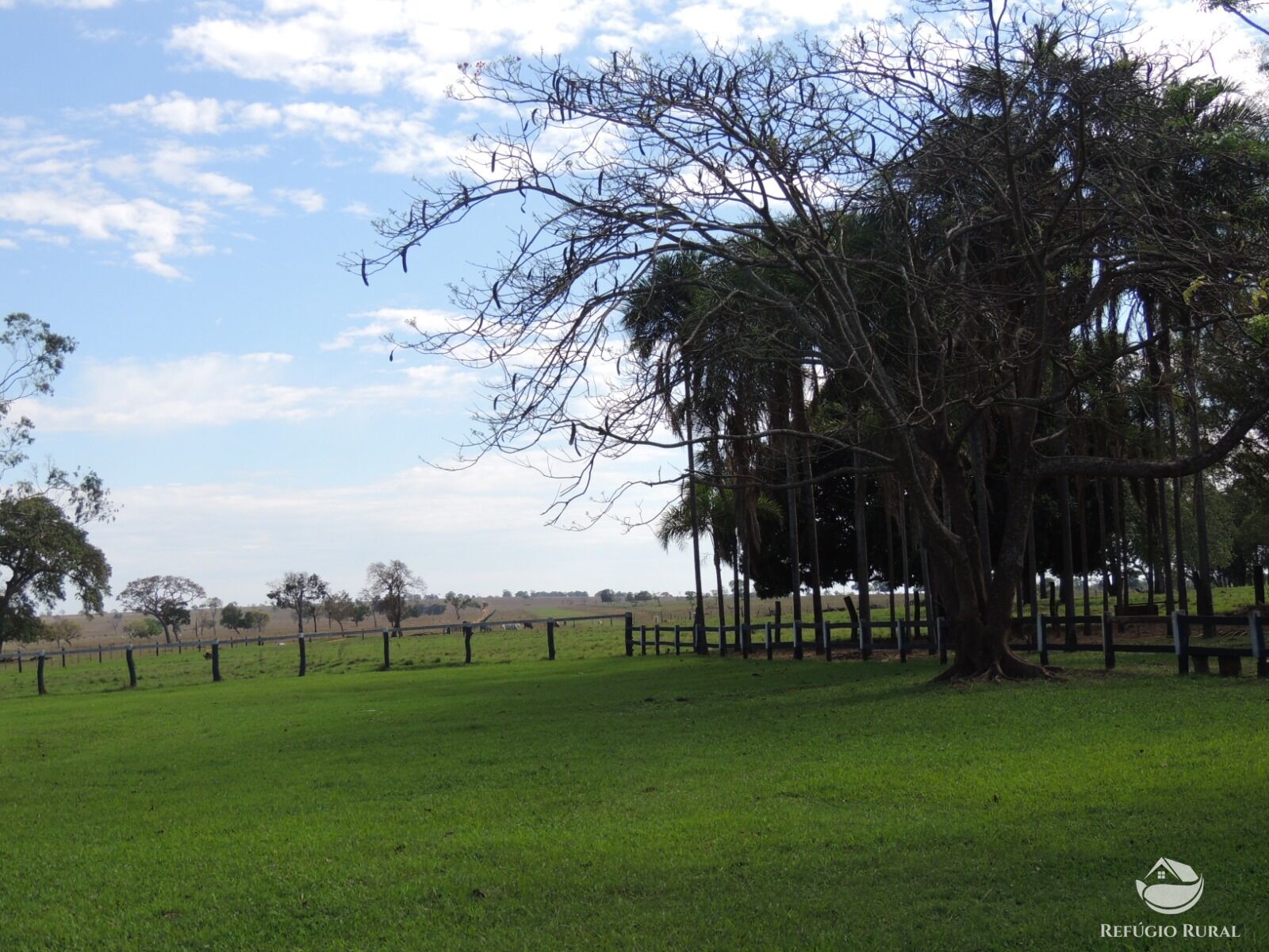 Fazenda à venda com 1 quarto, 24200000m² - Foto 13