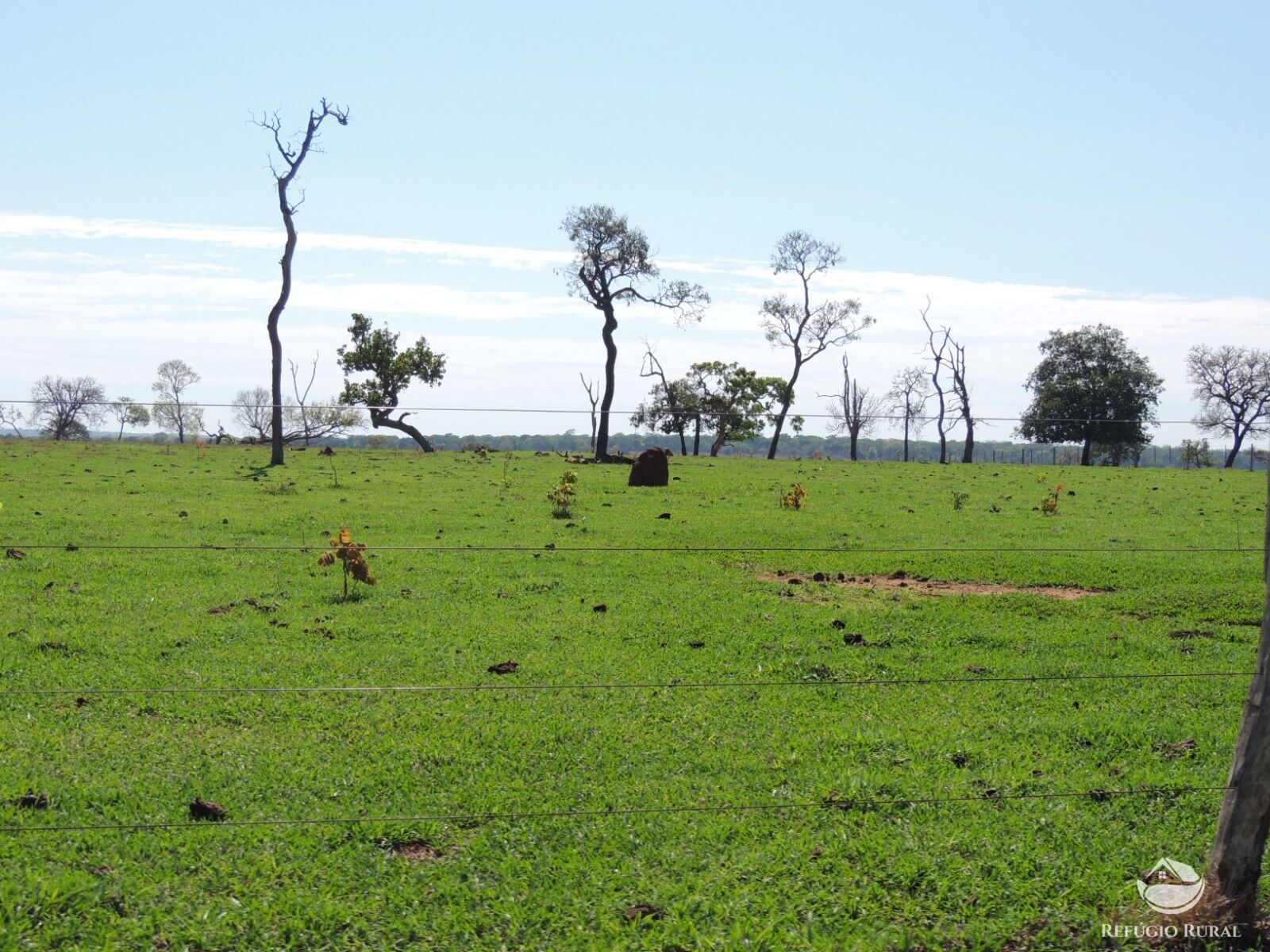 Fazenda à venda com 1 quarto, 24200000m² - Foto 14