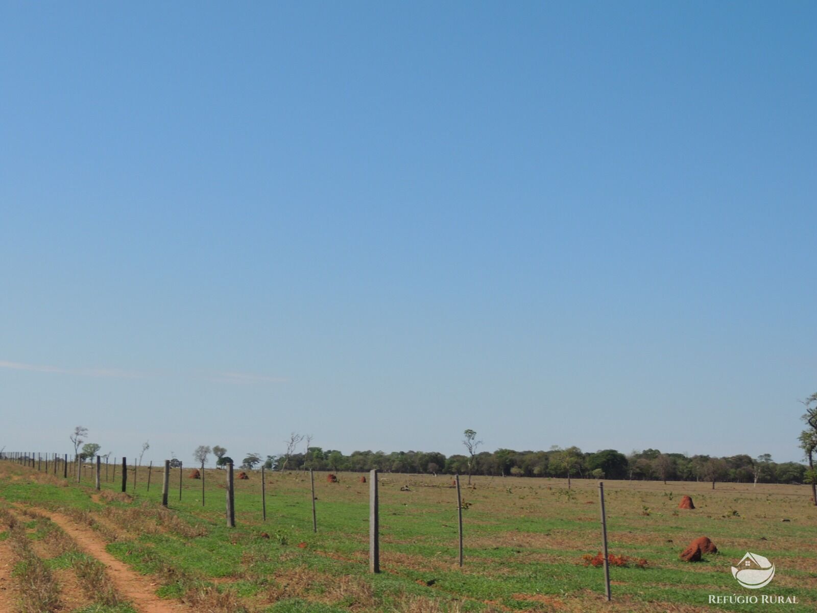 Fazenda à venda com 1 quarto, 24200000m² - Foto 21