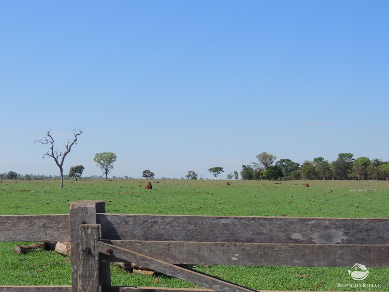 Fazenda à venda com 1 quarto, 24200000m² - Foto 18