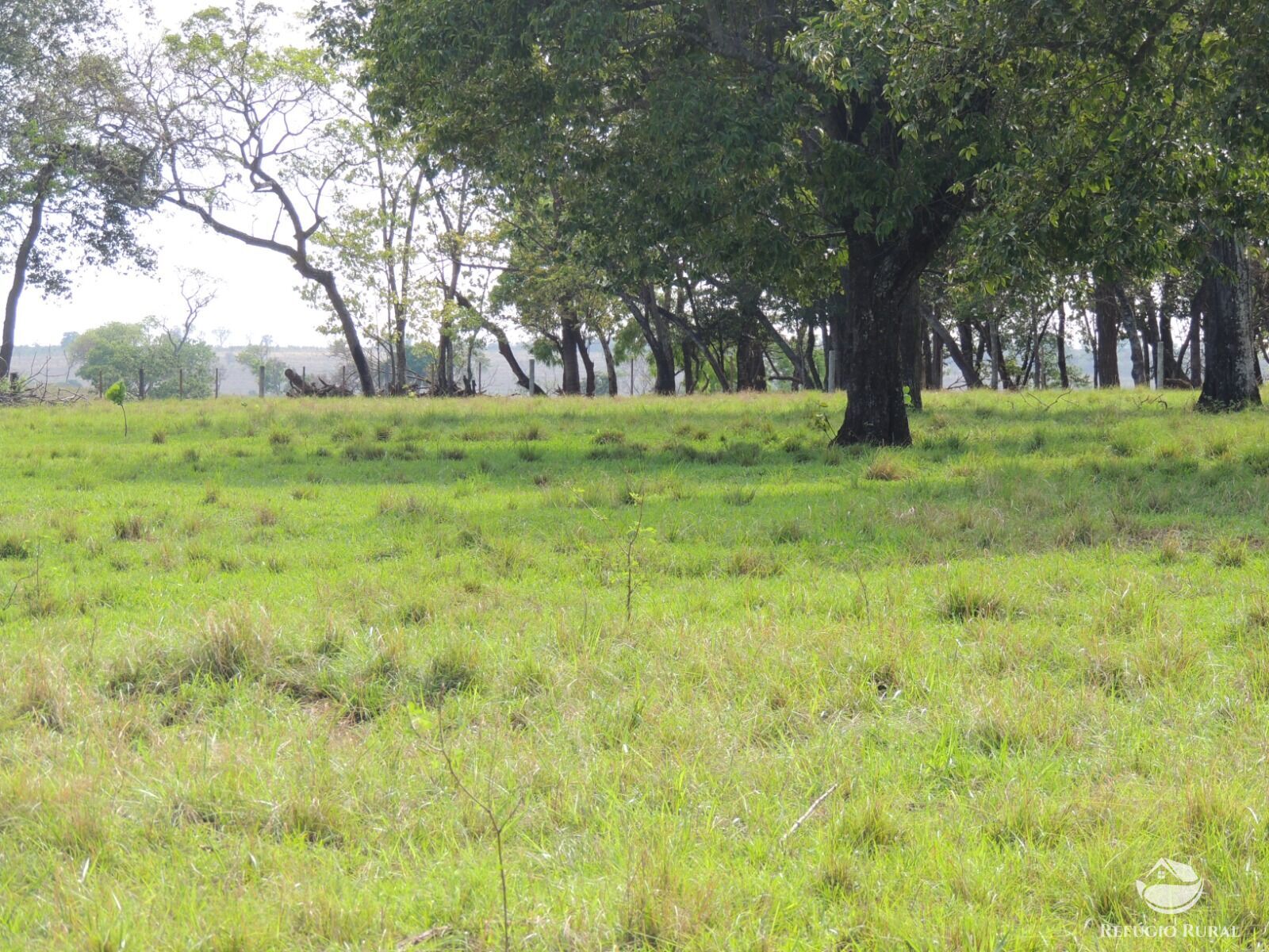 Fazenda à venda com 1 quarto, 24200000m² - Foto 6