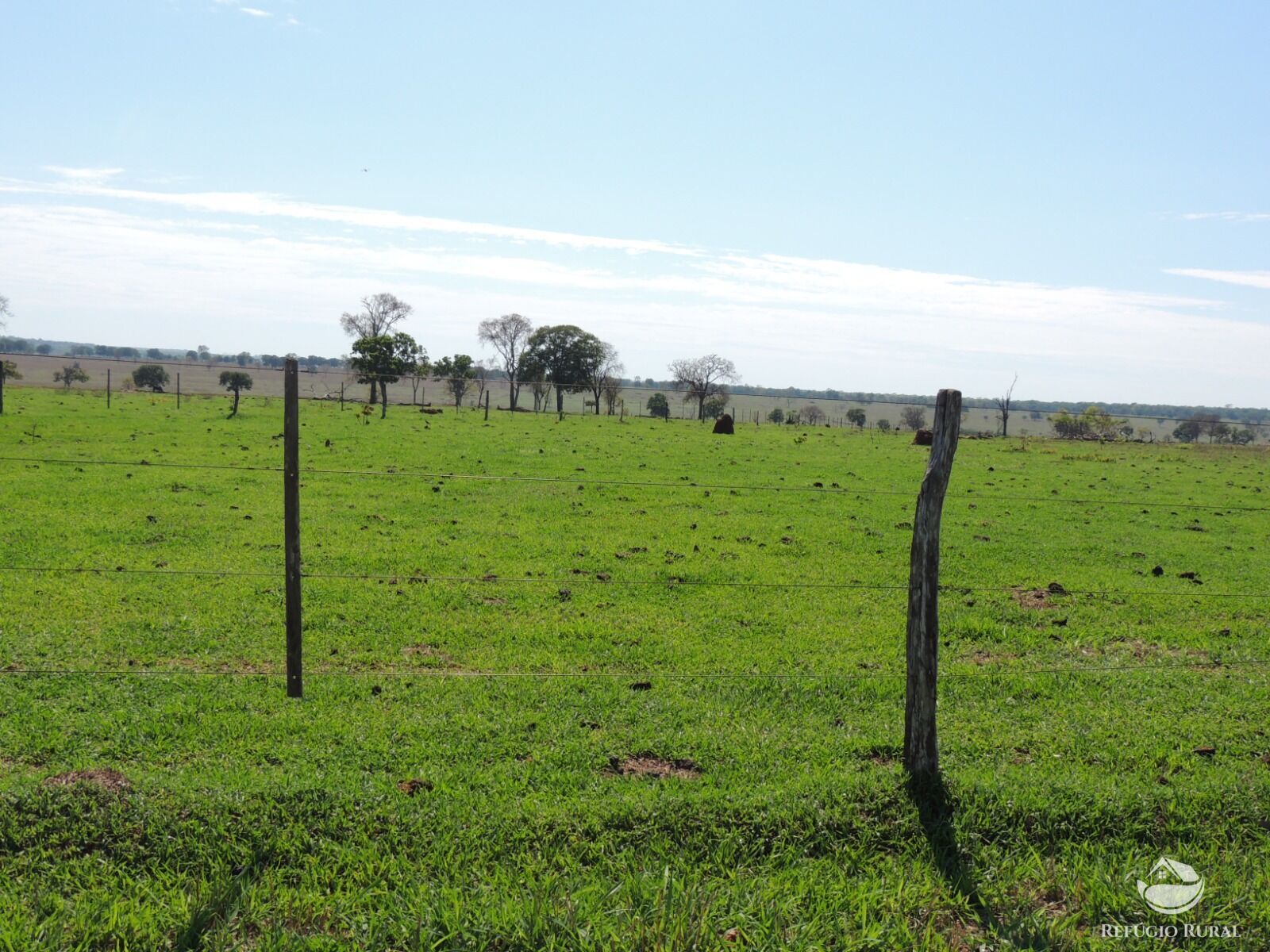 Fazenda à venda com 1 quarto, 24200000m² - Foto 5