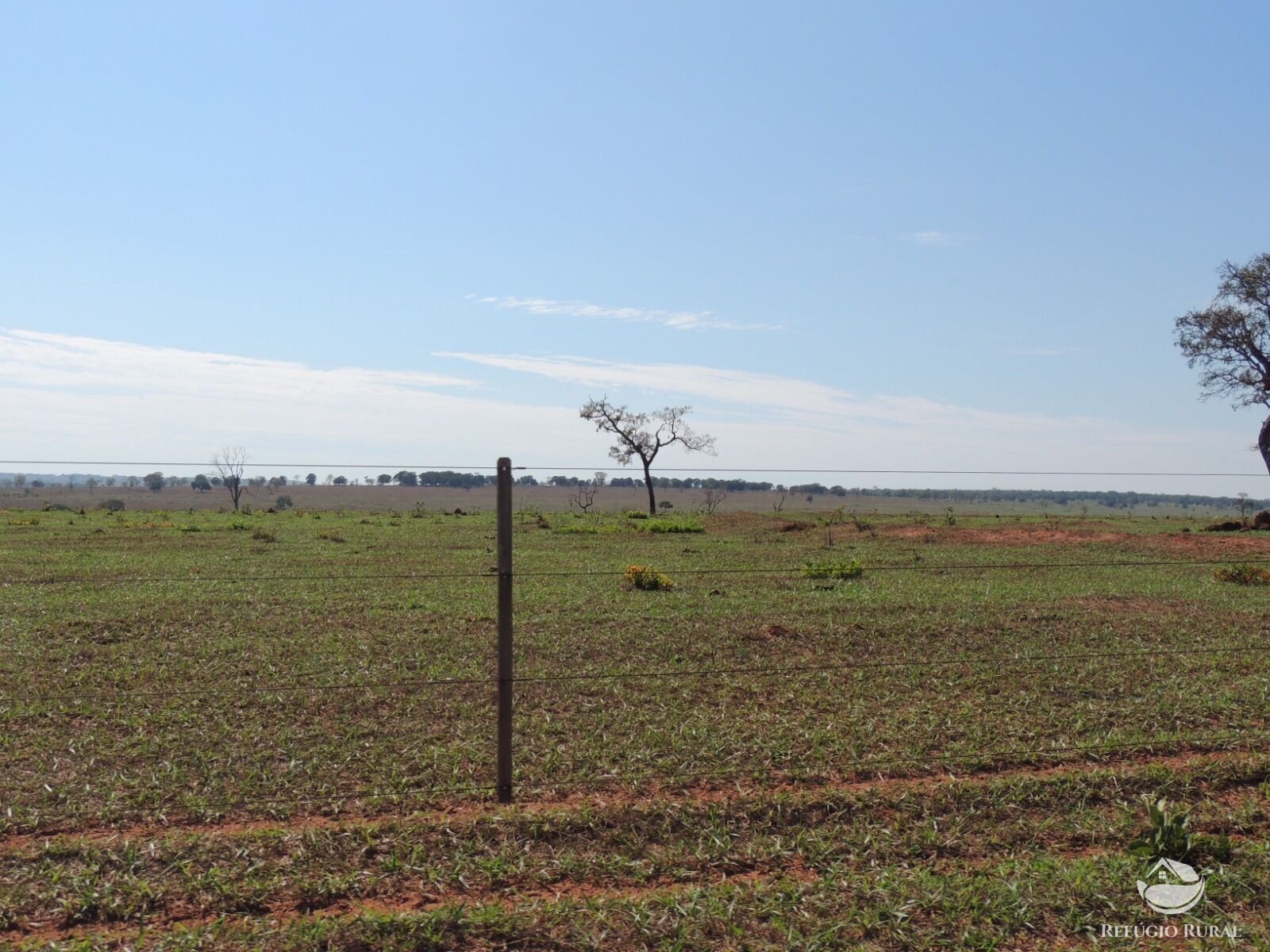 Fazenda à venda com 1 quarto, 24200000m² - Foto 24