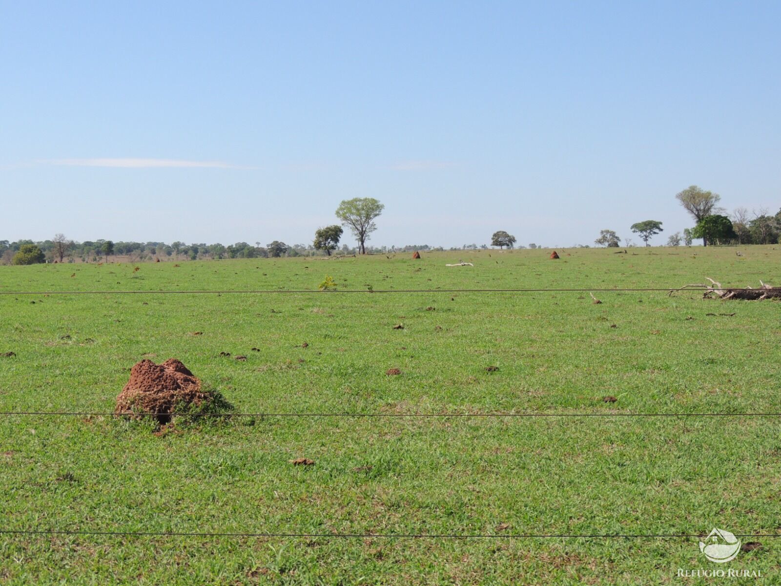 Fazenda à venda com 1 quarto, 24200000m² - Foto 15