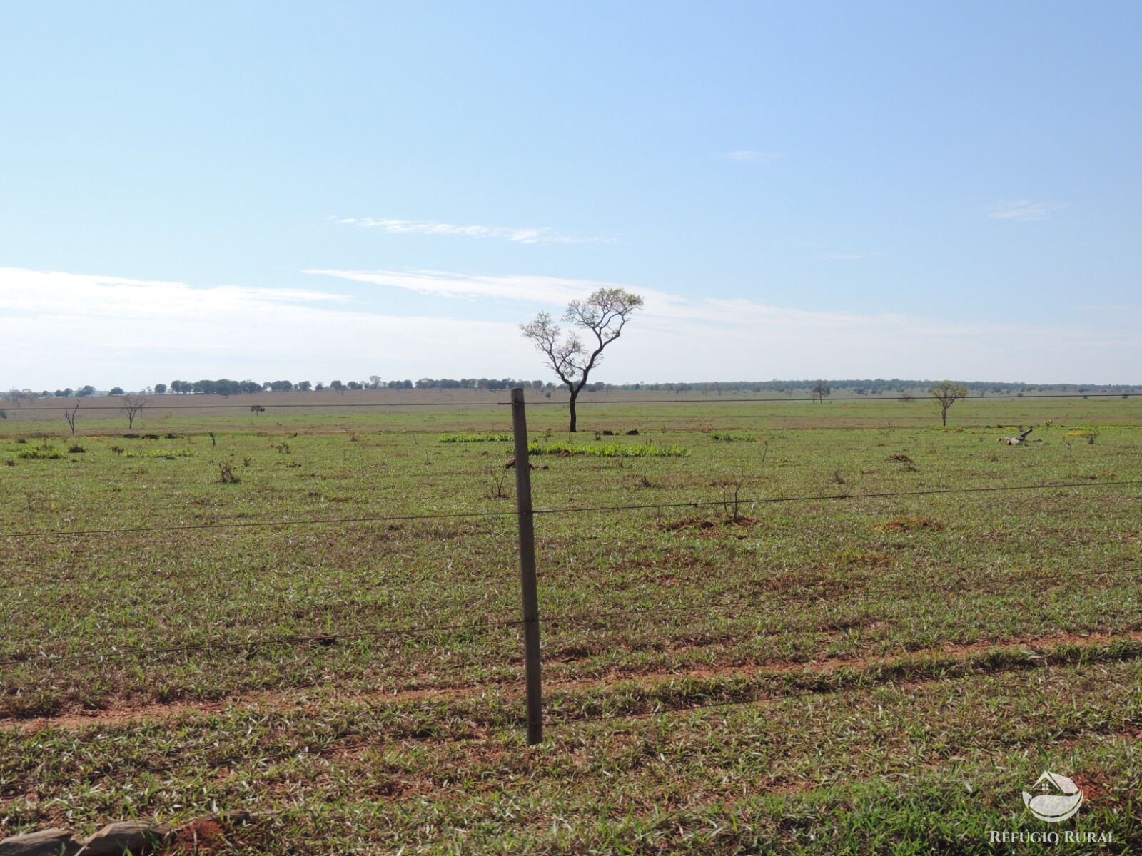 Fazenda à venda com 1 quarto, 24200000m² - Foto 8