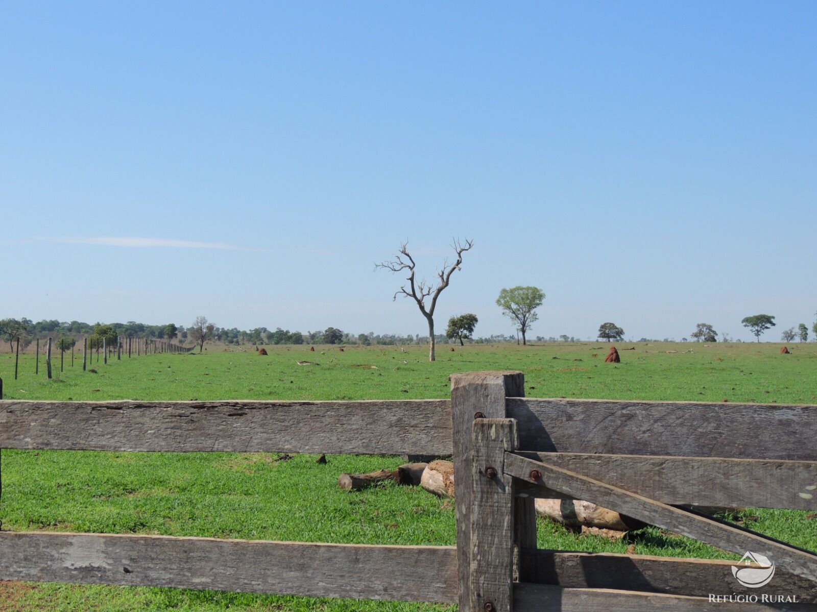 Fazenda à venda com 1 quarto, 24200000m² - Foto 3