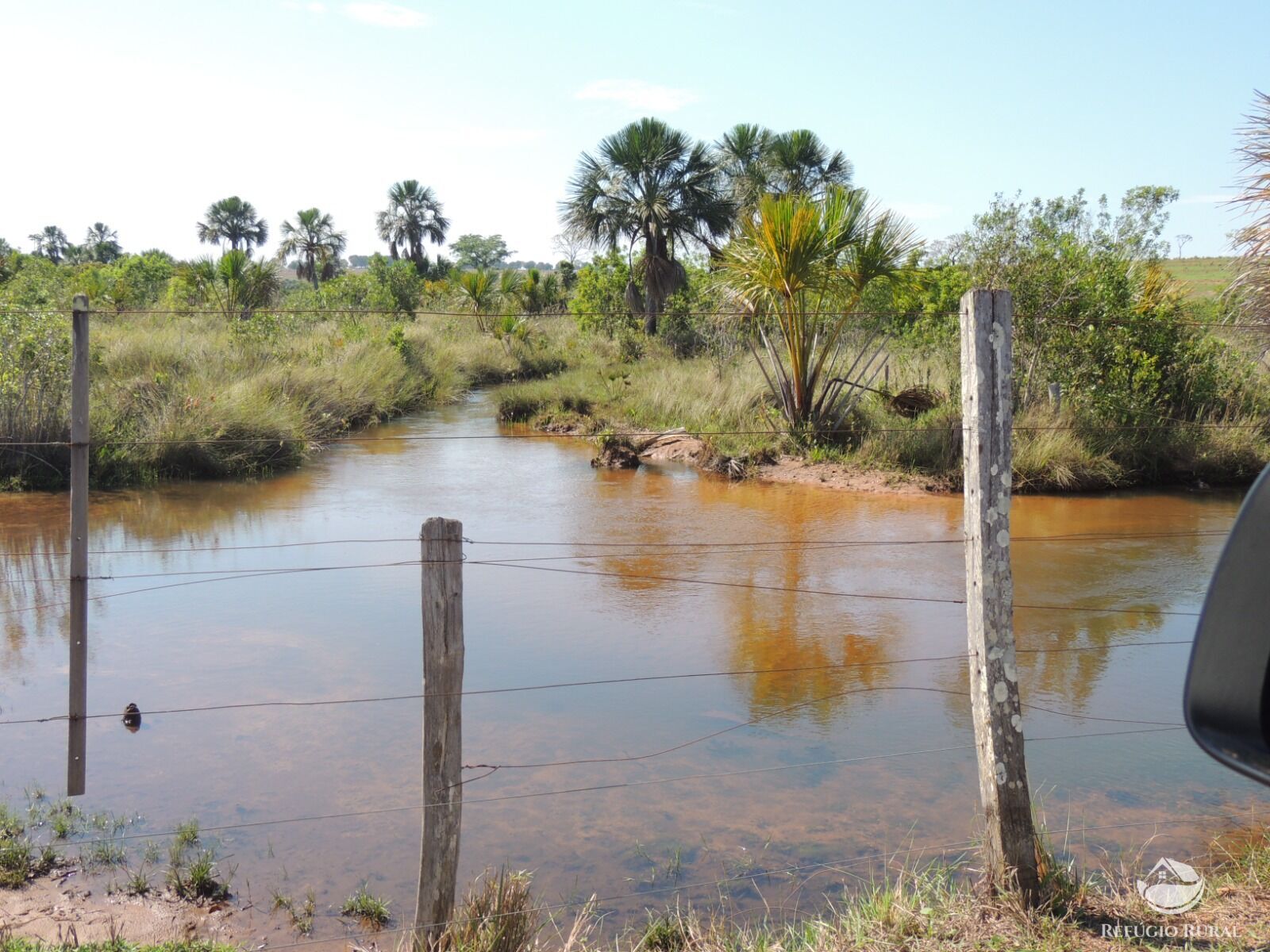 Fazenda à venda com 1 quarto, 24200000m² - Foto 4