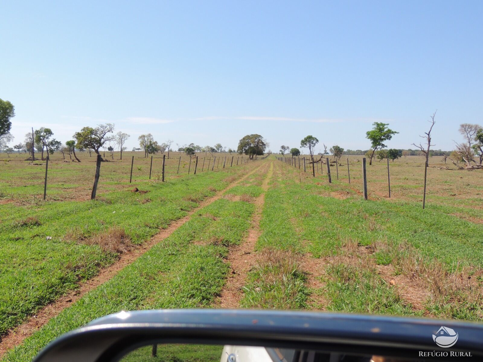 Fazenda à venda com 1 quarto, 24200000m² - Foto 19