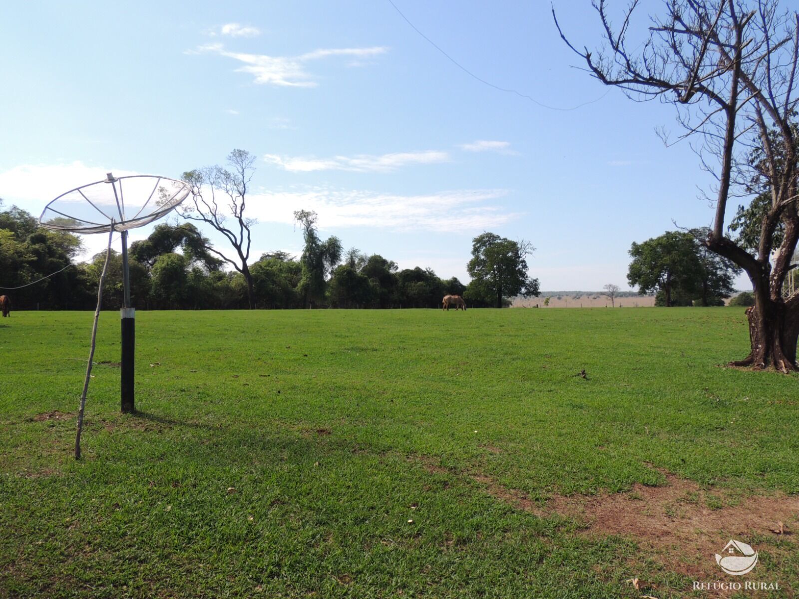 Fazenda à venda com 1 quarto, 24200000m² - Foto 7