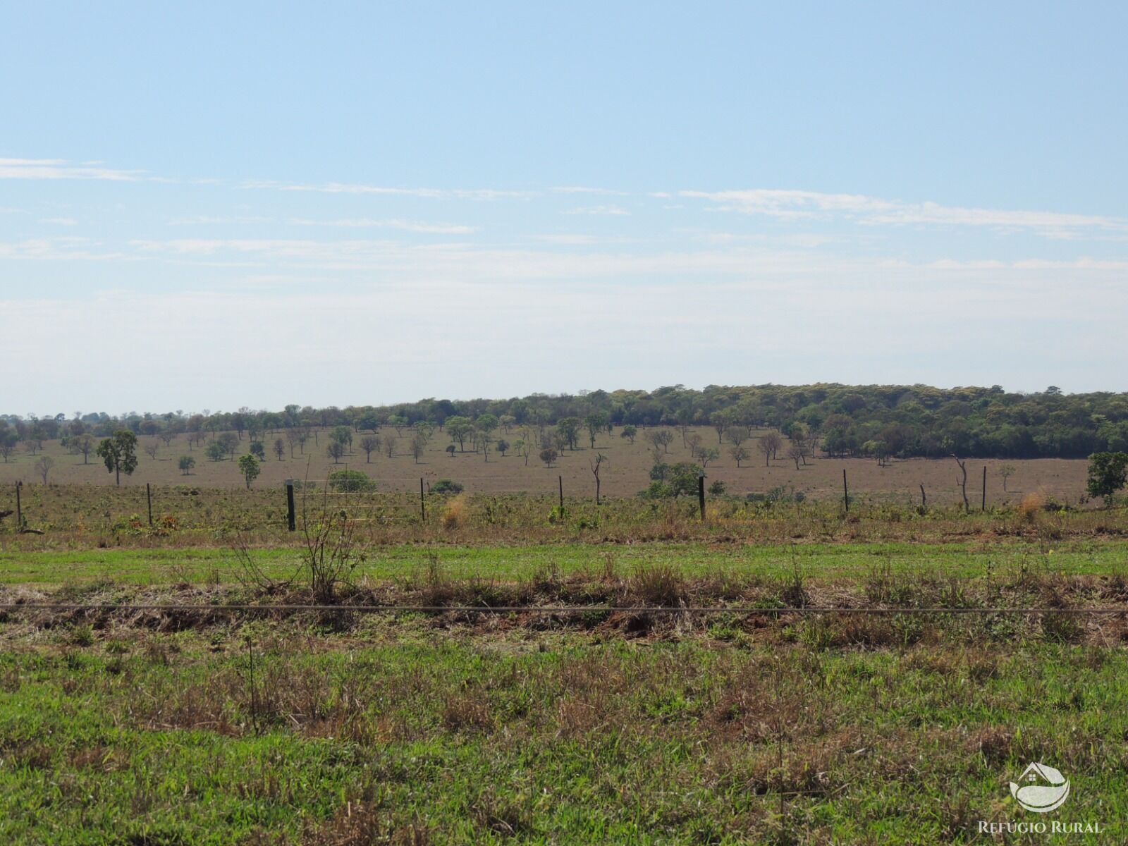 Fazenda à venda com 1 quarto, 24200000m² - Foto 16