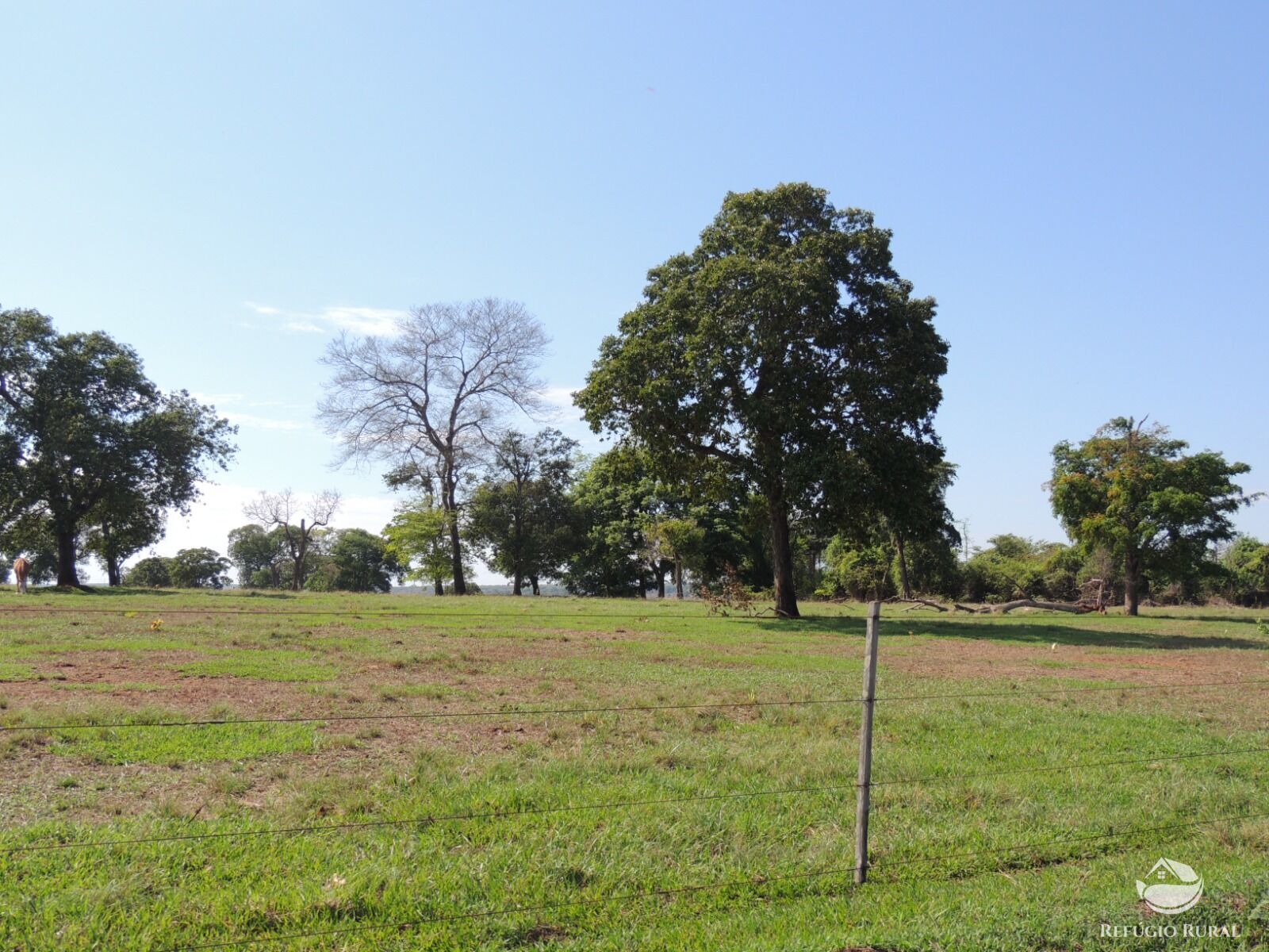 Fazenda à venda com 1 quarto, 24200000m² - Foto 9