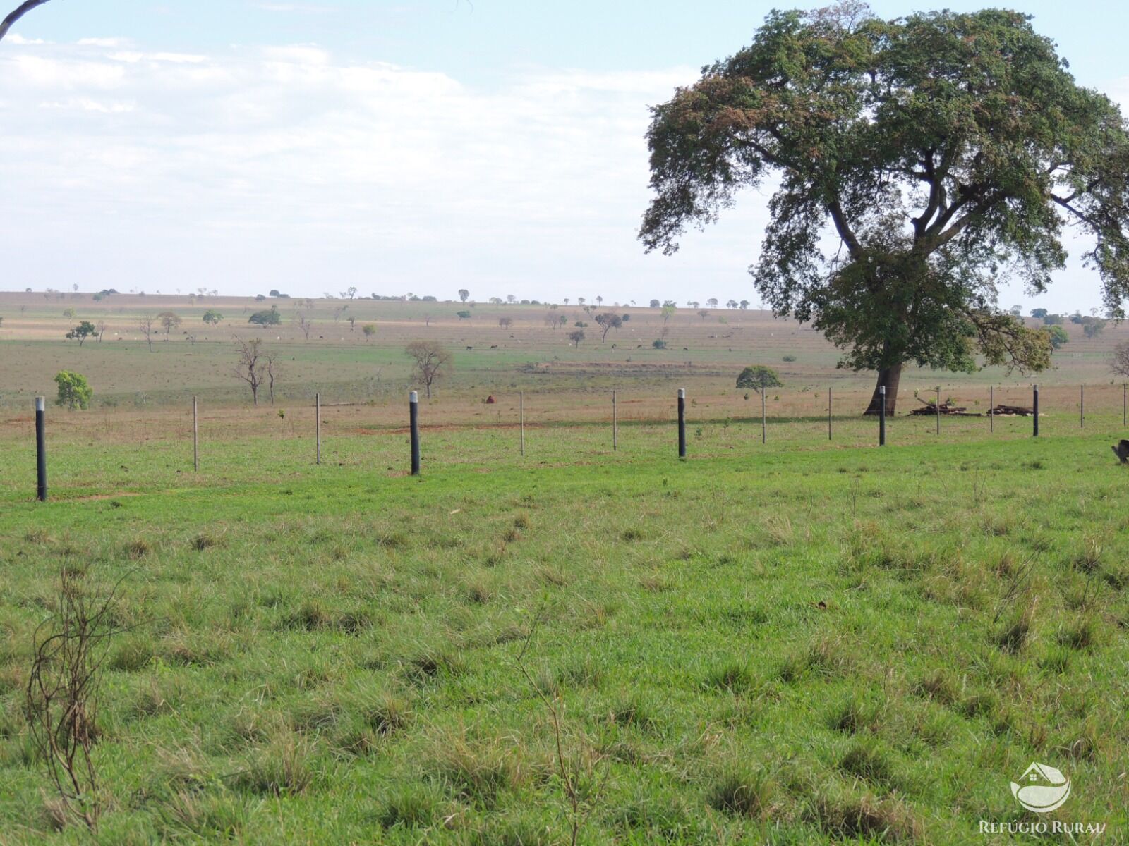 Fazenda à venda com 1 quarto, 24200000m² - Foto 11