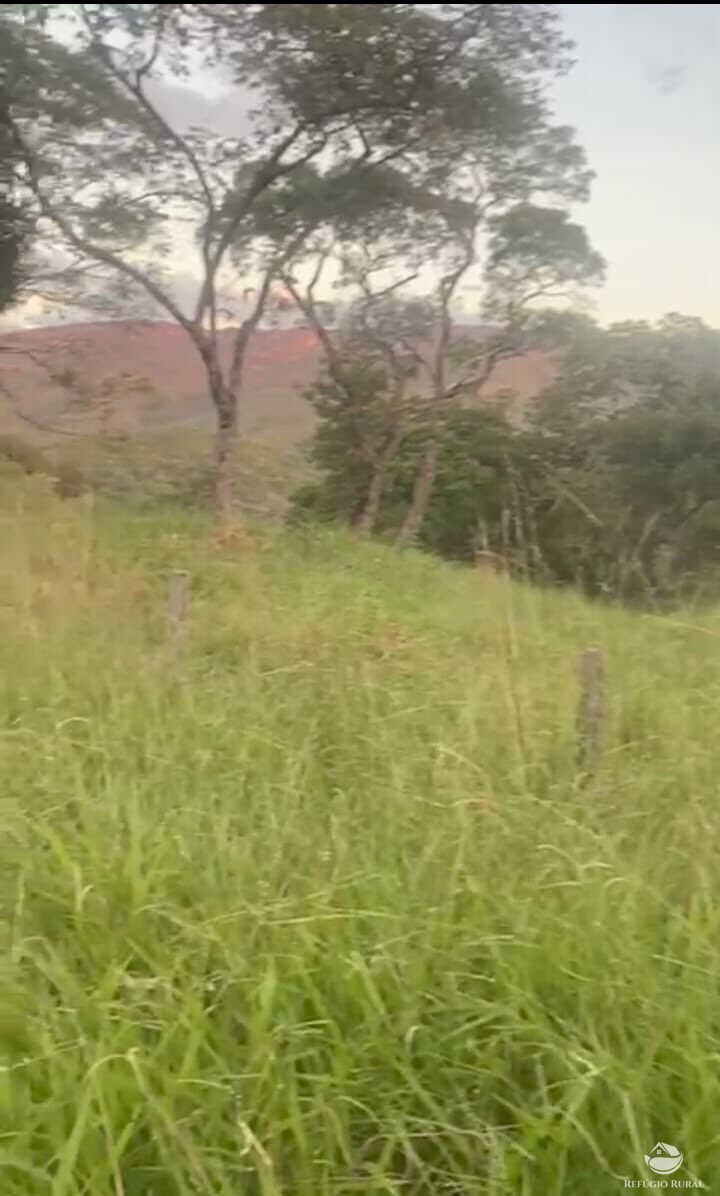 Fazenda, 363 hectares - Foto 5
