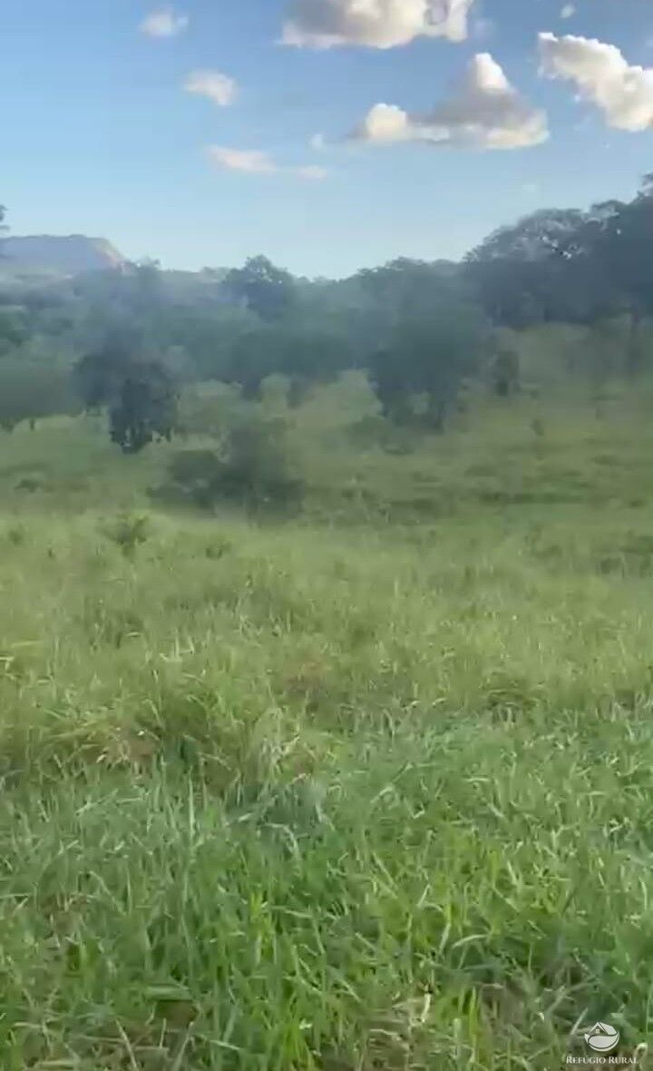 Fazenda, 363 hectares - Foto 4