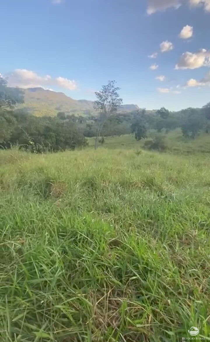 Fazenda, 363 hectares - Foto 3