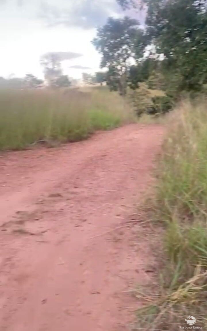 Fazenda, 363 hectares - Foto 6