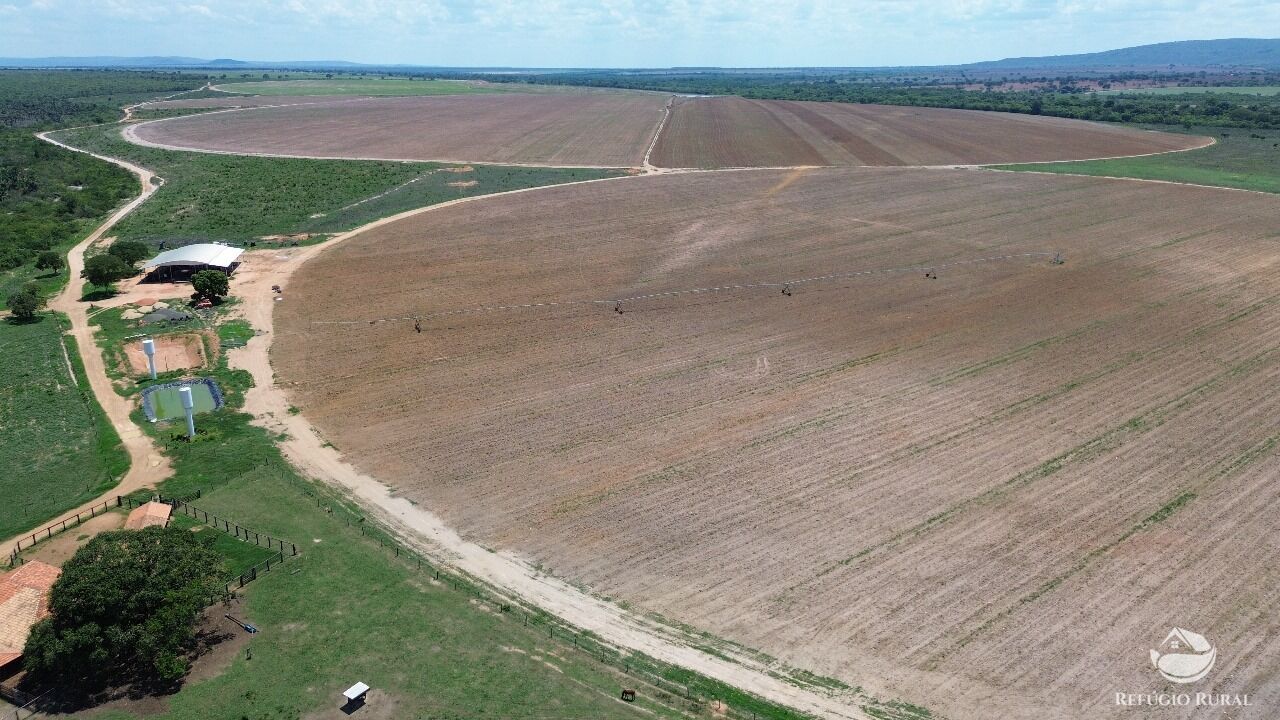 Fazenda à venda com 3 quartos, 5600000m² - Foto 1