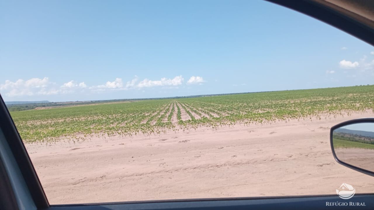 Fazenda à venda com 3 quartos, 5600000m² - Foto 11