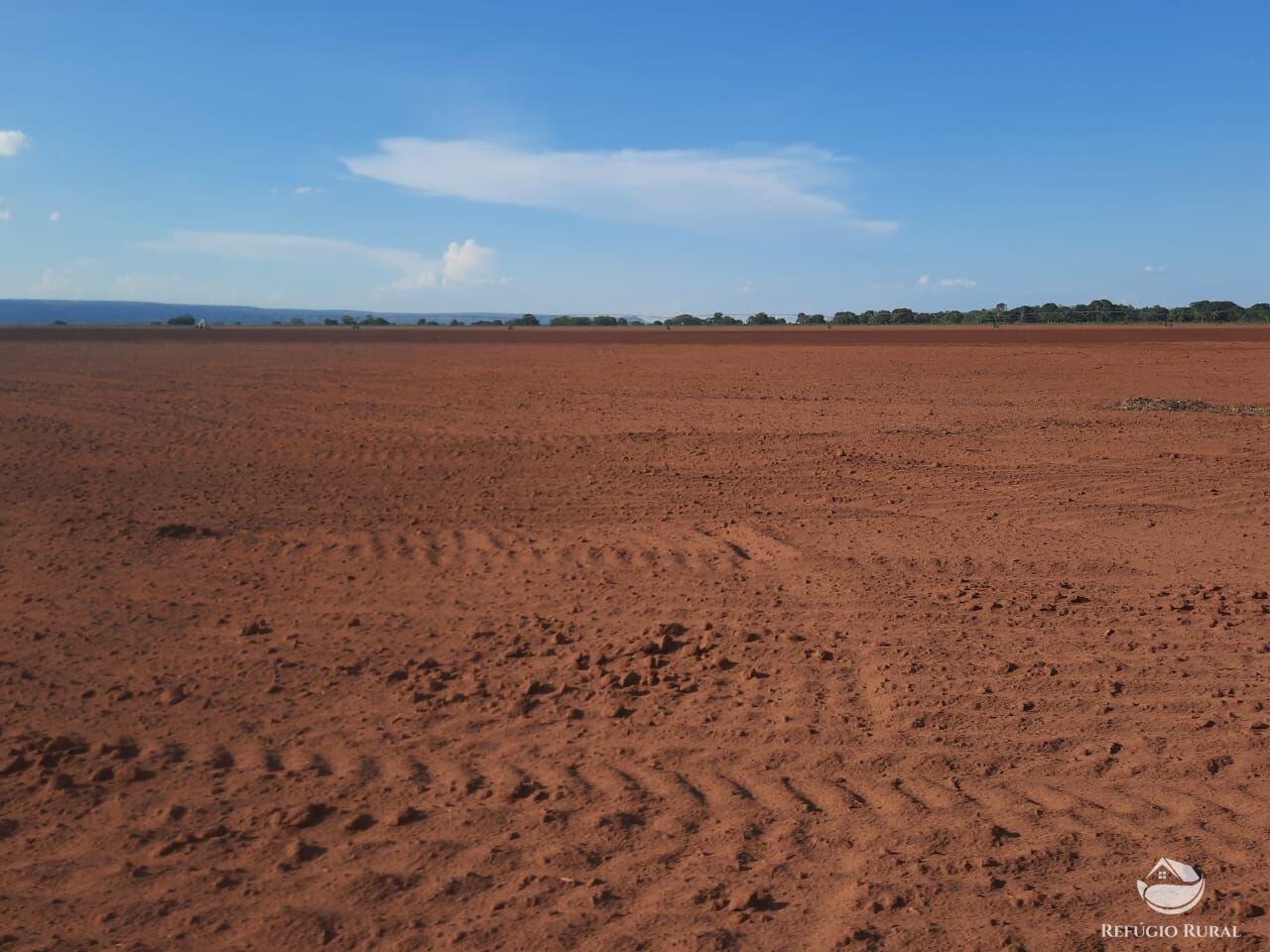 Fazenda à venda com 3 quartos, 5600000m² - Foto 3