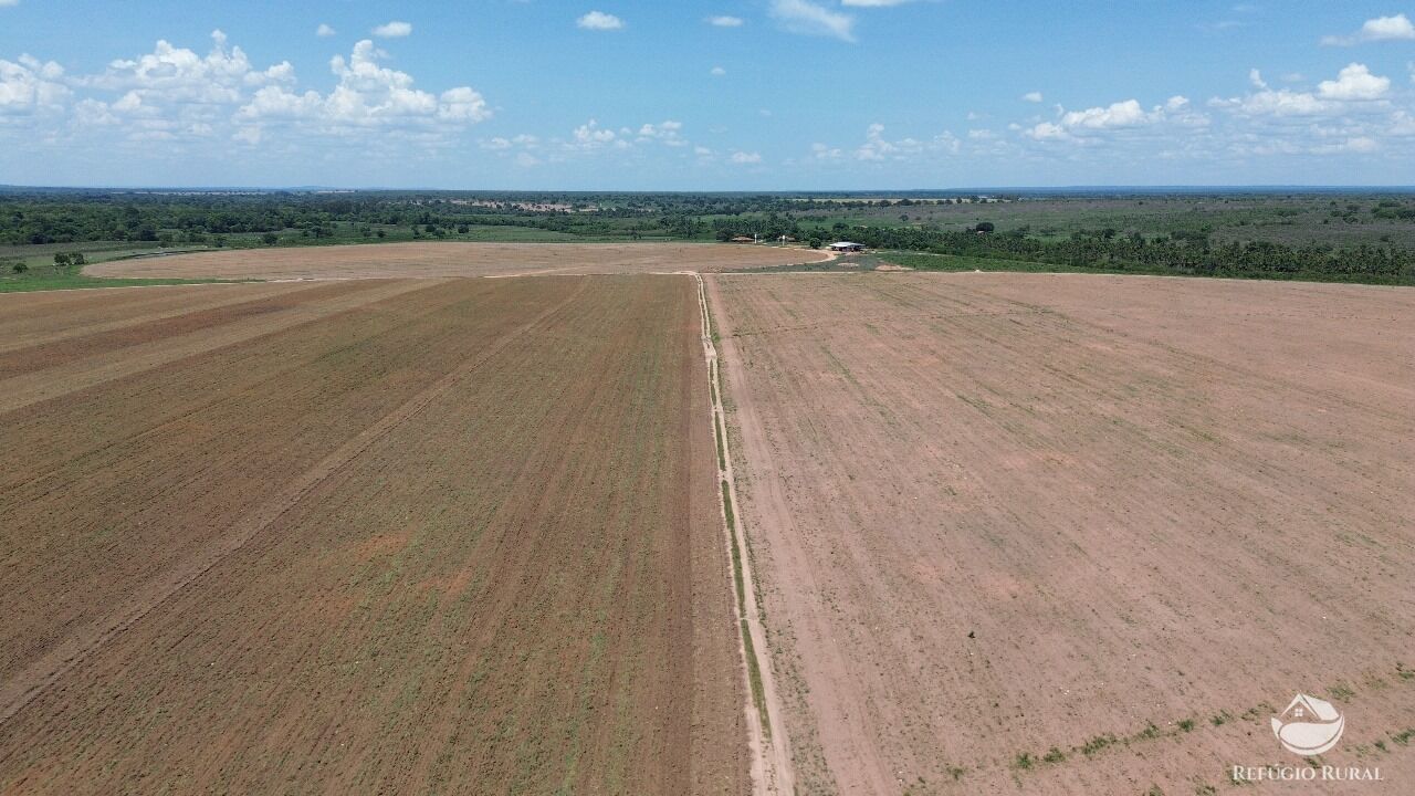 Fazenda à venda com 3 quartos, 5600000m² - Foto 12