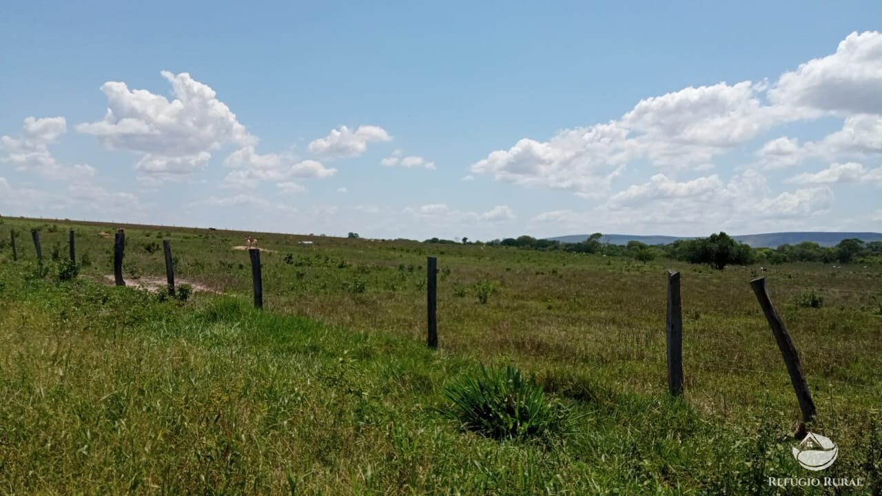 Fazenda à venda com 3 quartos, 5600000m² - Foto 14