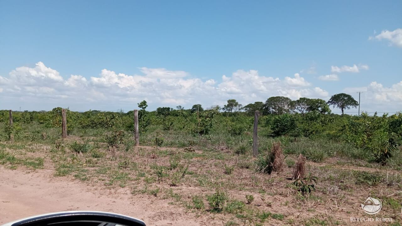 Fazenda à venda com 3 quartos, 5600000m² - Foto 4