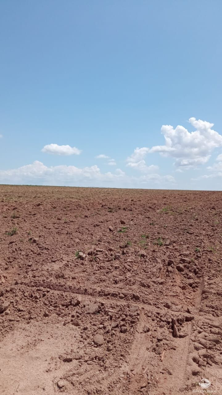 Fazenda à venda com 3 quartos, 5600000m² - Foto 7