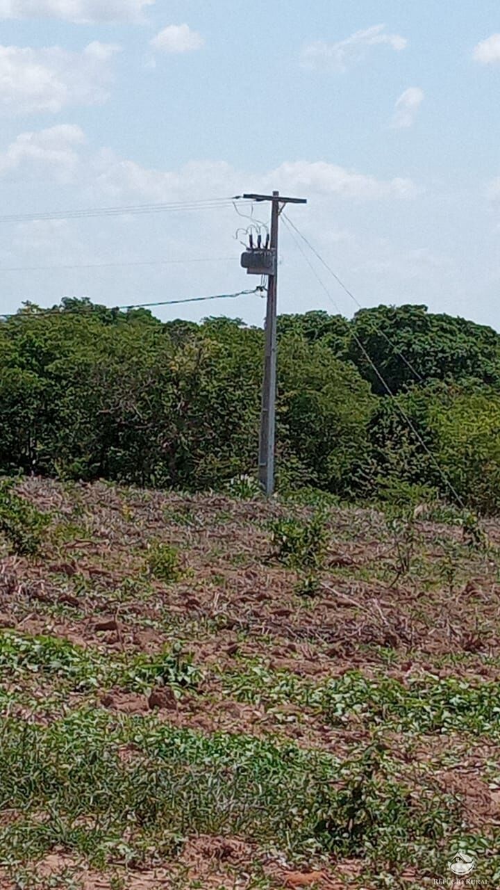 Fazenda à venda com 3 quartos, 5600000m² - Foto 10