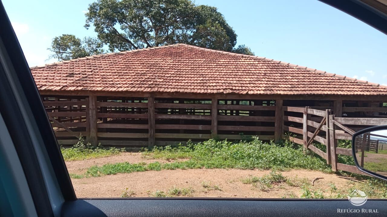 Fazenda à venda com 3 quartos, 5600000m² - Foto 15