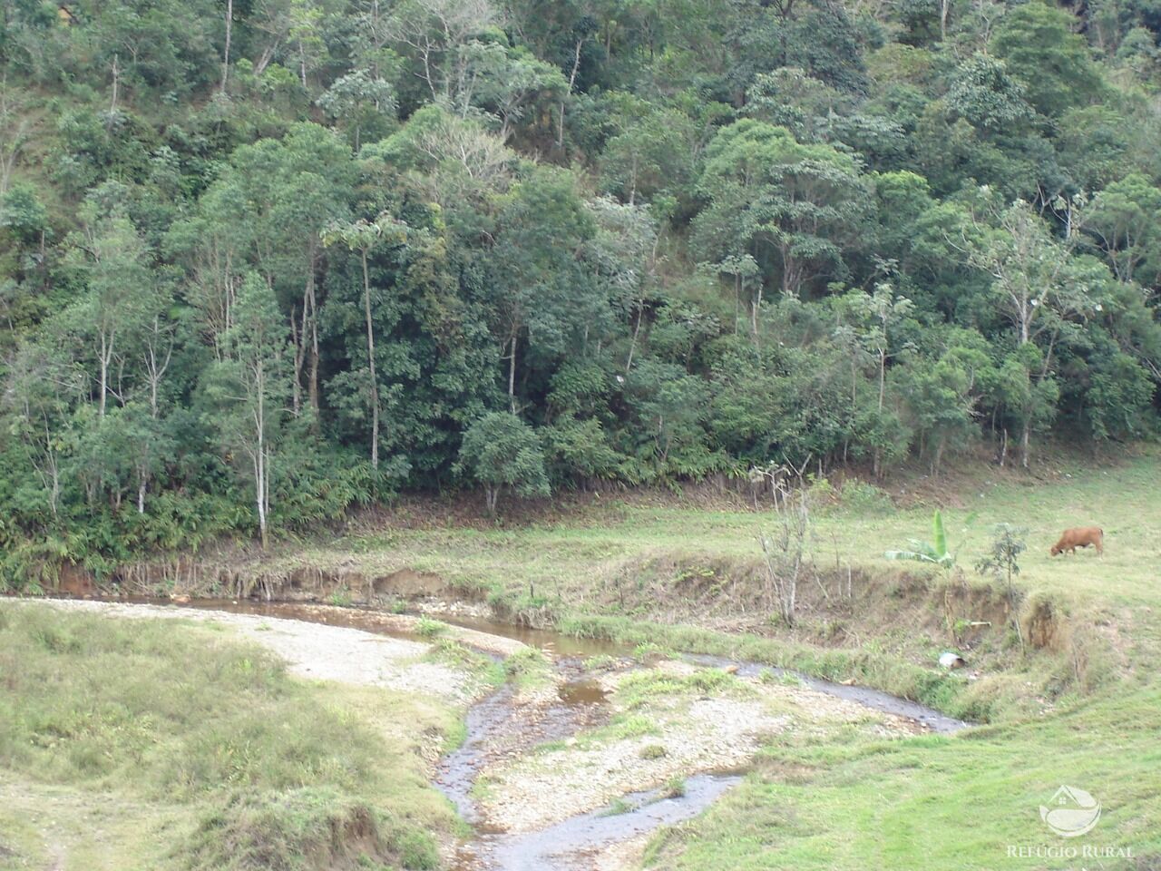 Fazenda, 55 hectares - Foto 20