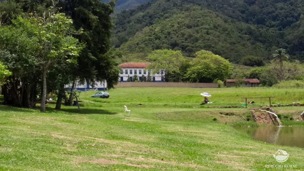 Fazenda, 55 hectares - Foto 5