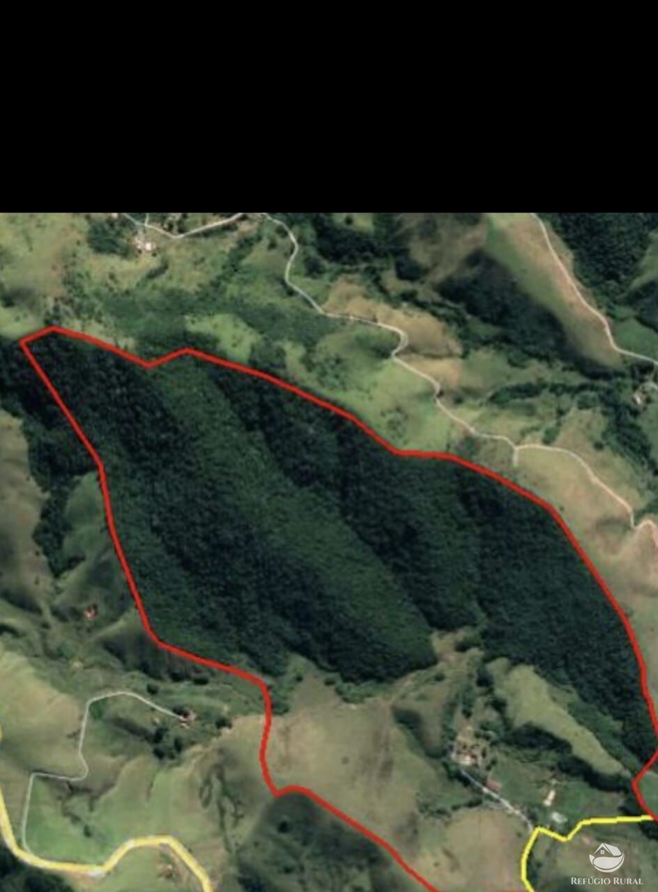 Fazenda, 55 hectares - Foto 19