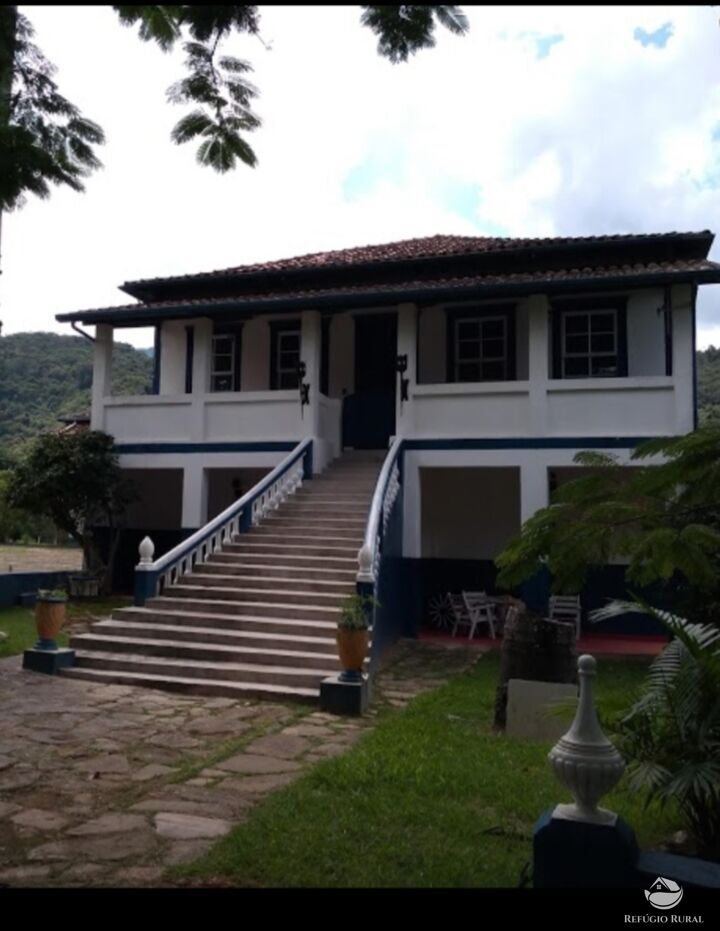 Fazenda, 55 hectares - Foto 4