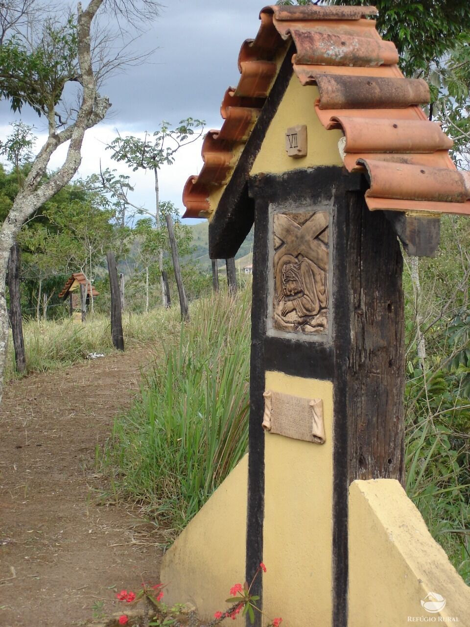 Fazenda, 55 hectares - Foto 17