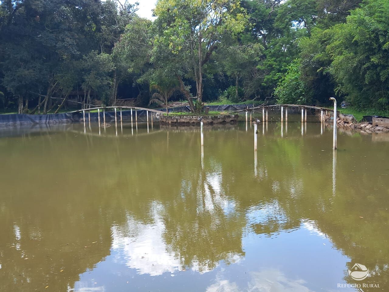 Sítio, 4 quartos, 1 hectares - Foto 6