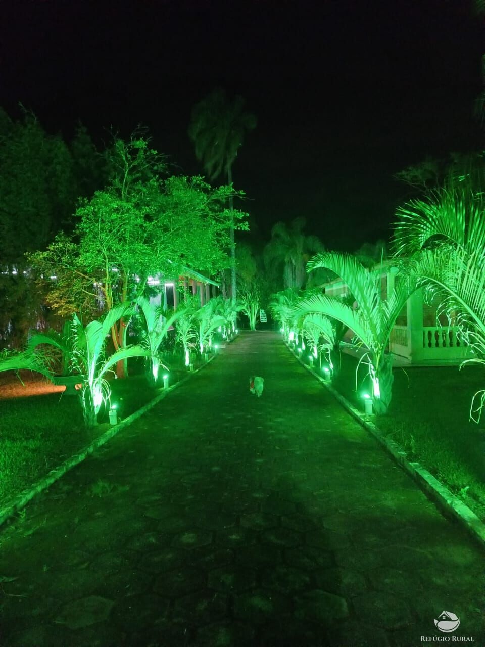 Sítio, 4 quartos, 1 hectares - Foto 17