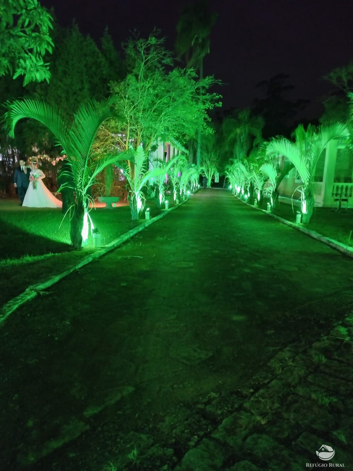 Sítio, 4 quartos, 1 hectares - Foto 13