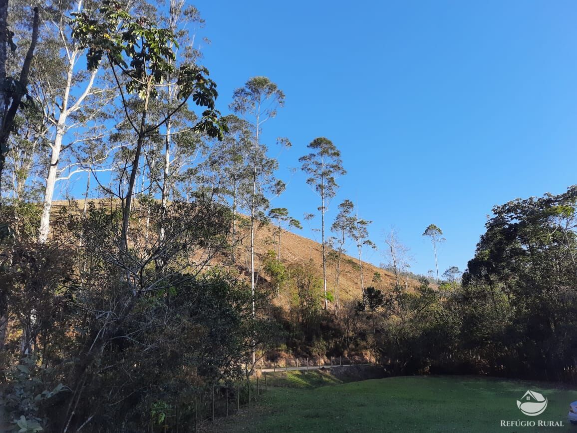 Chácara, 10 hectares - Foto 10