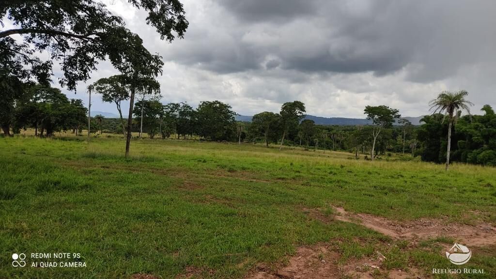 Fazenda à venda com 2 quartos, 85668000m² - Foto 14