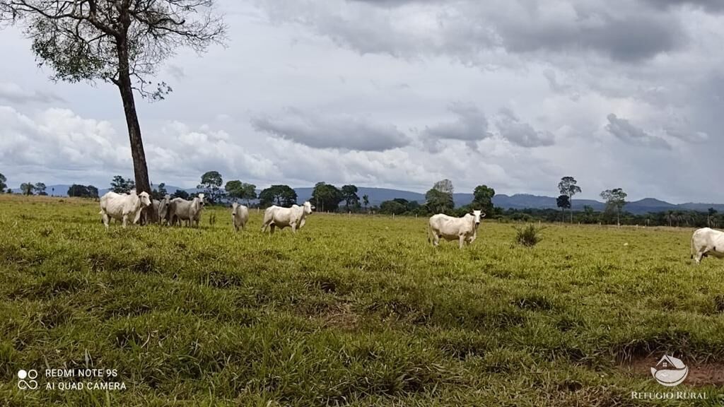 Fazenda à venda com 2 quartos, 85668000m² - Foto 9