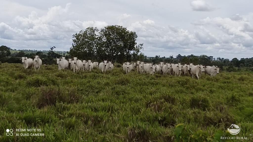 Fazenda à venda com 2 quartos, 85668000m² - Foto 17