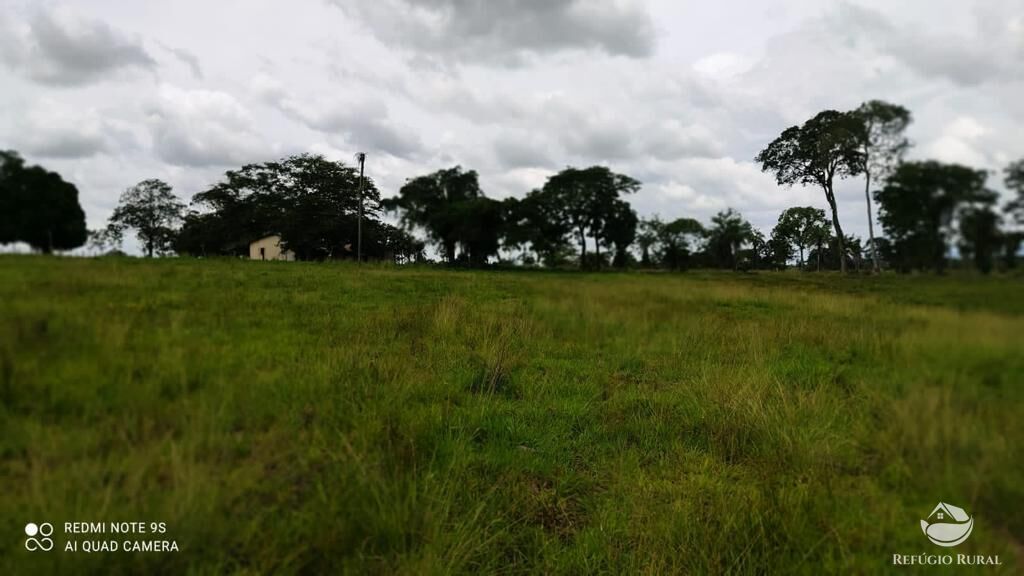 Fazenda à venda com 2 quartos, 85668000m² - Foto 19