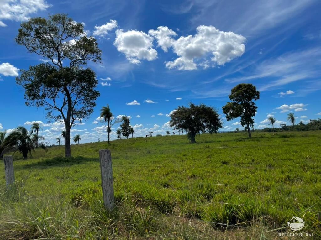 Fazenda à venda com 2 quartos, 85668000m² - Foto 4