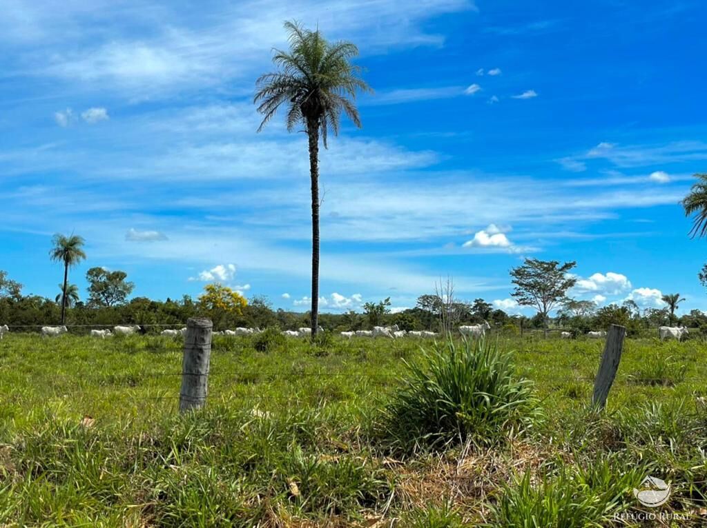 Fazenda à venda com 2 quartos, 85668000m² - Foto 3