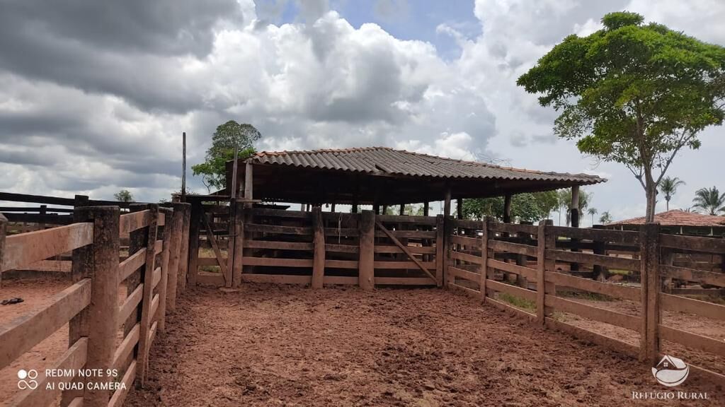 Fazenda à venda com 2 quartos, 85668000m² - Foto 13