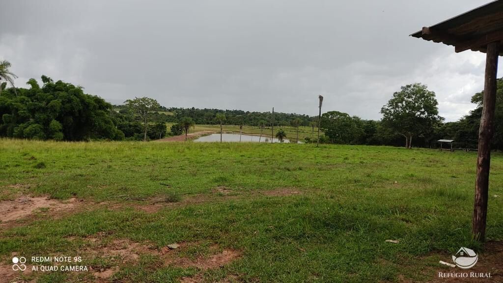 Fazenda à venda com 2 quartos, 85668000m² - Foto 8