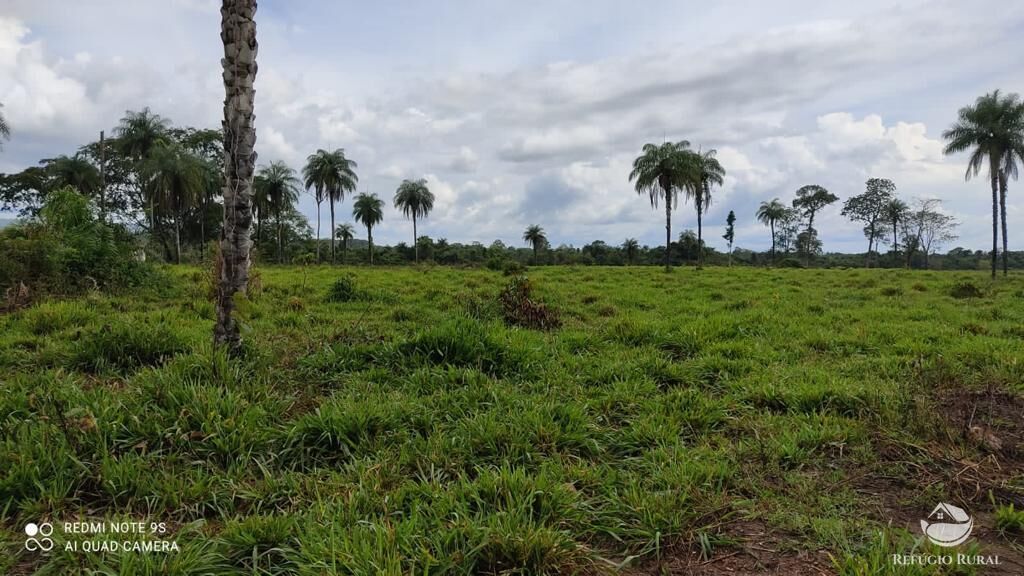 Fazenda à venda com 2 quartos, 85668000m² - Foto 22